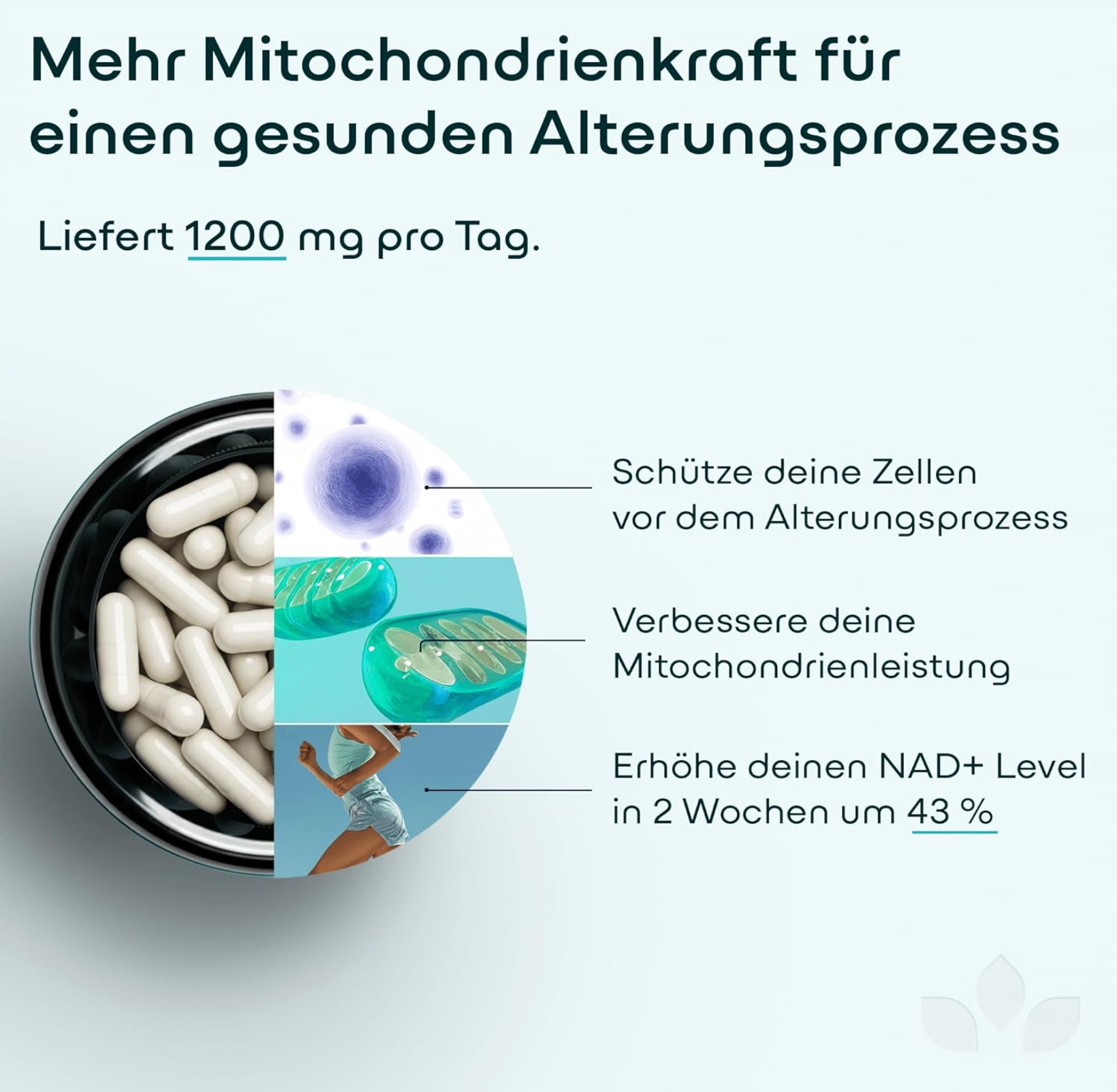 Premium NAD+ 1200MG Komplex